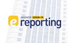 E Reporting Laporan Insentif Pajak Selama Wabah Covid 19 Direktorat Jenderal Pajak