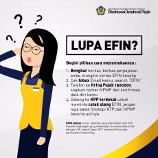 Siapkan Efin Sebelum Lapor Spt Online Direktorat Jenderal Pajak