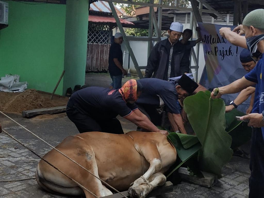 Proses penyembelihan hewan kurban dibantu oleh tenaga dari luar.