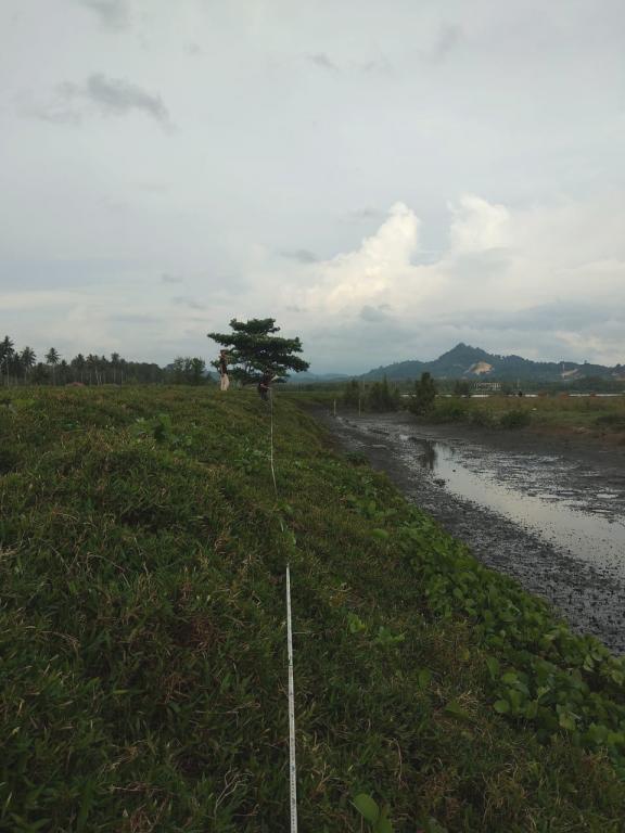 Lokasi tanah hibah yang bersebelahan dengan tambak milik warga