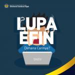 lupa efin 